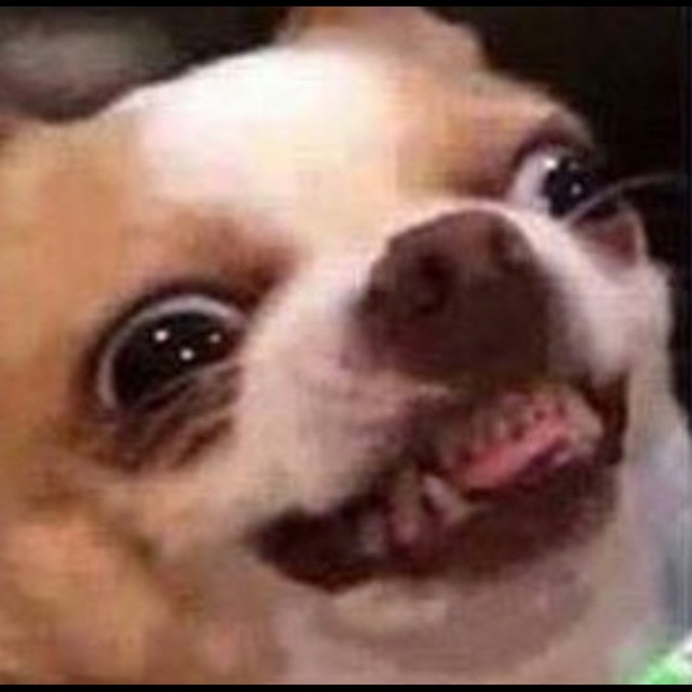 Meet your Posher, Ivy